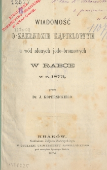 Wiadomość o zakładzie kąpielowym u wód słonych jodo-bromowych w Rabce w r. 1873